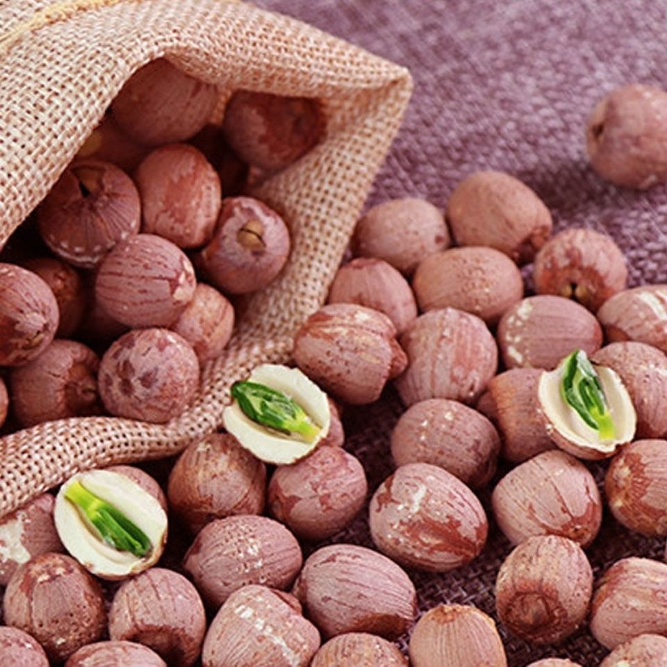 有芯红莲新货红莲子带芯莲子湘潭红莲干货多规格 优选带芯红莲500克