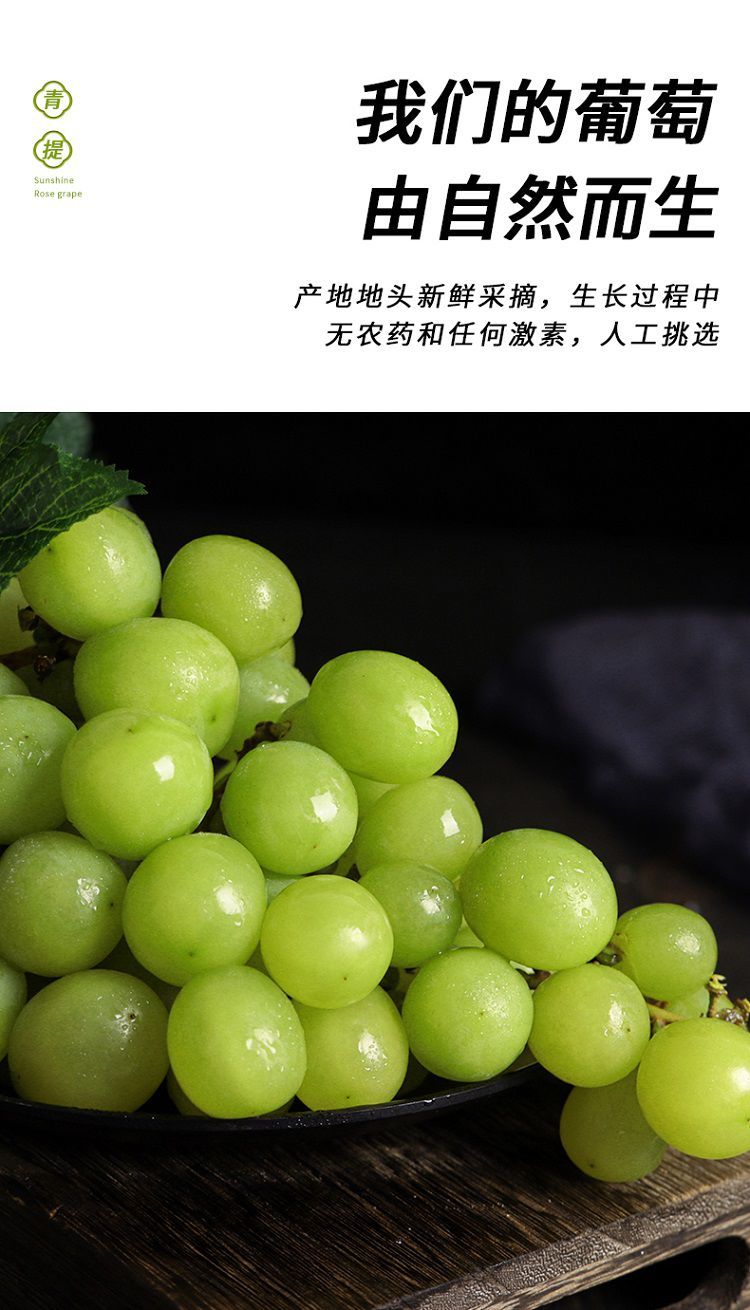 阳光玫瑰葡萄晴王香印青提子3斤5斤净重3斤恒温抗压箱