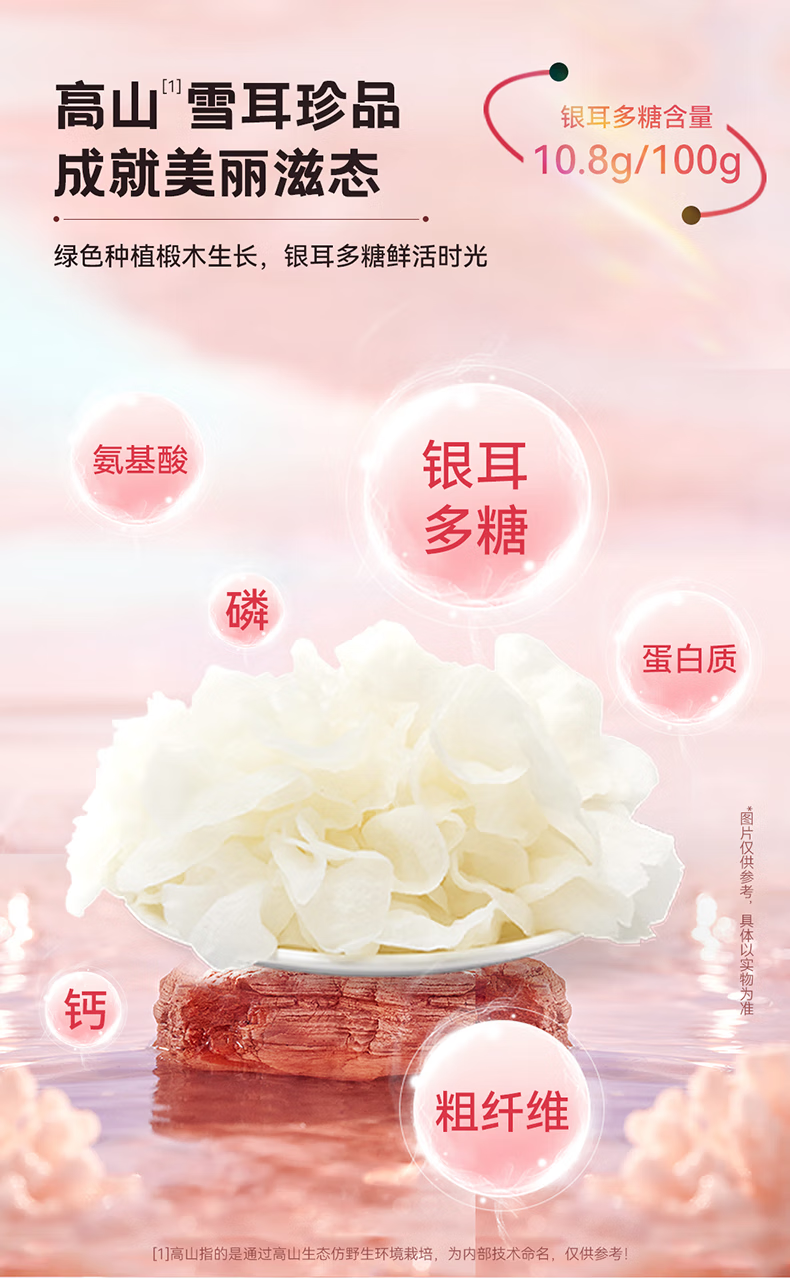 404240f16e7266a6.png