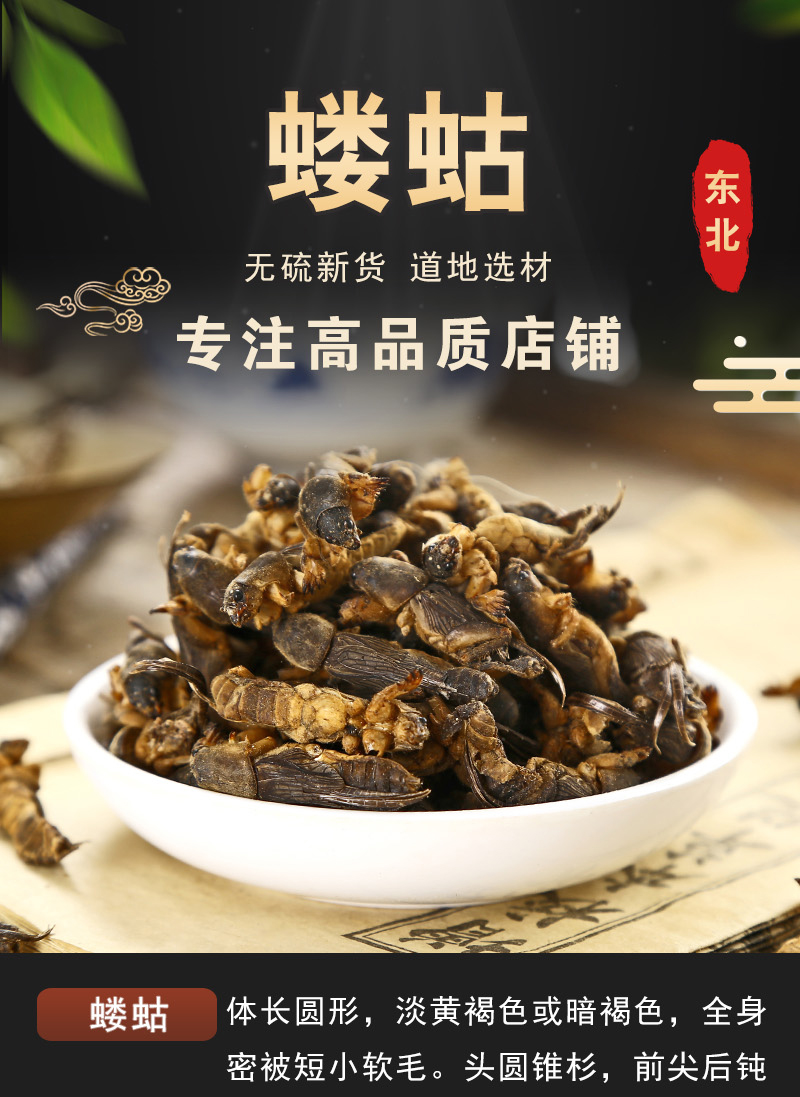 同仁堂中药材蝼蛄干500g克拉拉蛄地拉蛄天蝼土狗可磨蝼蛄粉