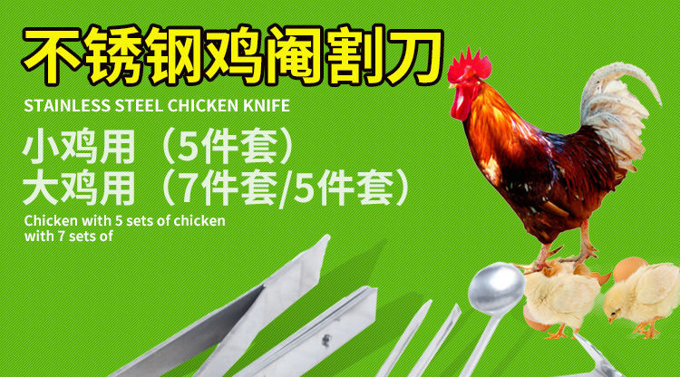 欧缔兰阉鸡工具全套大鸡小鸡阉割刀公鸡阉割工具阉鸡刀阉鸡器阉割器7