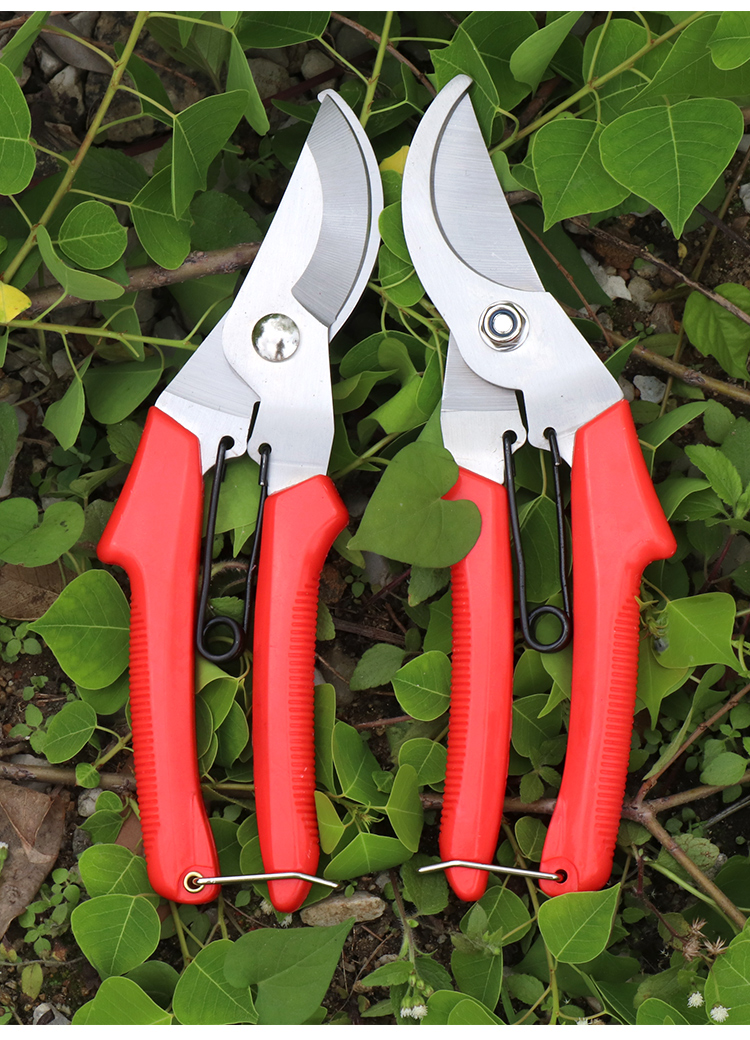 园林园艺修枝剪树枝粗枝果树剪刀省力大号德国花艺植物修花小剪刀908
