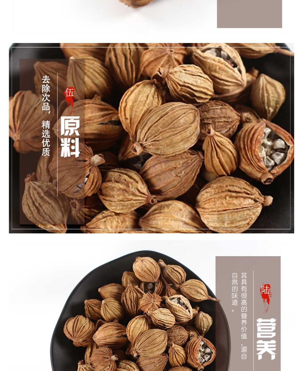 香砂500g沙仁金香沙香砂仁香料调料包卤肉大全散装四川特产川砂仁