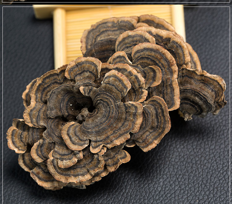 云灵芝伟博云灵芝 云南深山灵芝 整枝灵芝林芝青灵芝 500克【图片