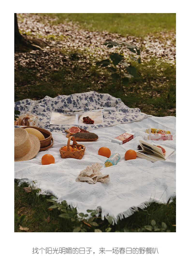 野餐桌布出游户外露营地垫野餐垫ins风沙滩垫加厚白色野餐布网红用品