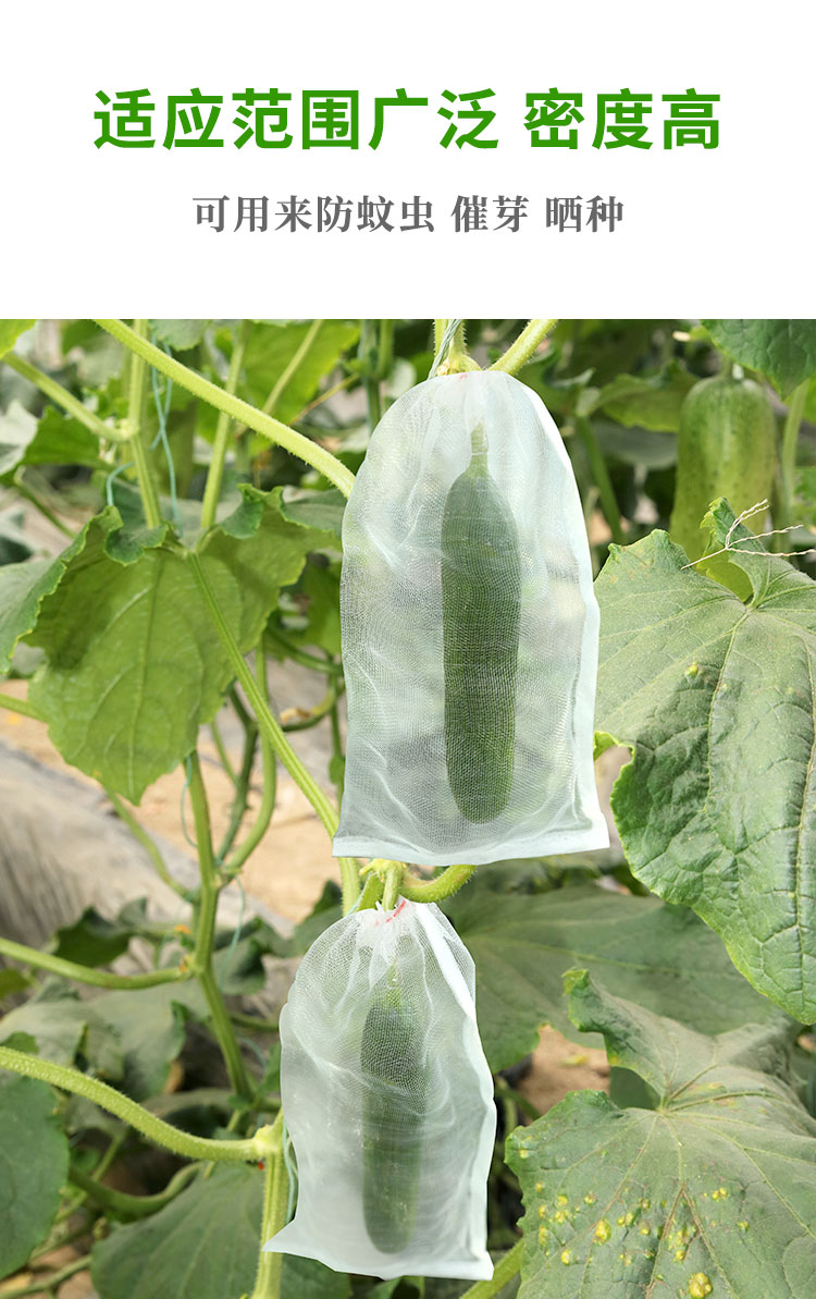 防虫防鸟网袋果树瓜果水果蔬菜葡萄丝瓜西瓜尼龙套袋神器专用保护 20*