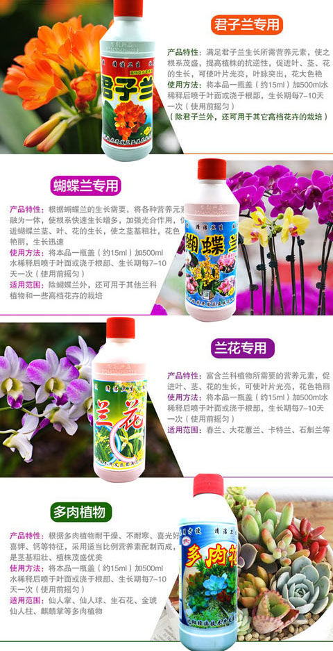 锐衡君子兰营养液君子兰花专用营养液花卉植物长效有机肥料促生长开花