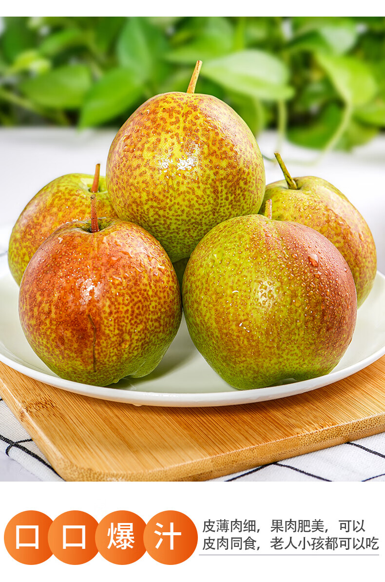 玉露香梨10斤脆甜梨子水果新鲜当季整箱5雪酥梨隰县特产顺丰 5斤 顺丰