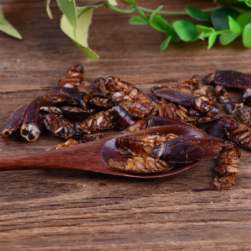 中药材美洲大蠊蟑螂蟑螂干蟑螂虫干蟑螂可磨粉 100克【图片 价格 品牌