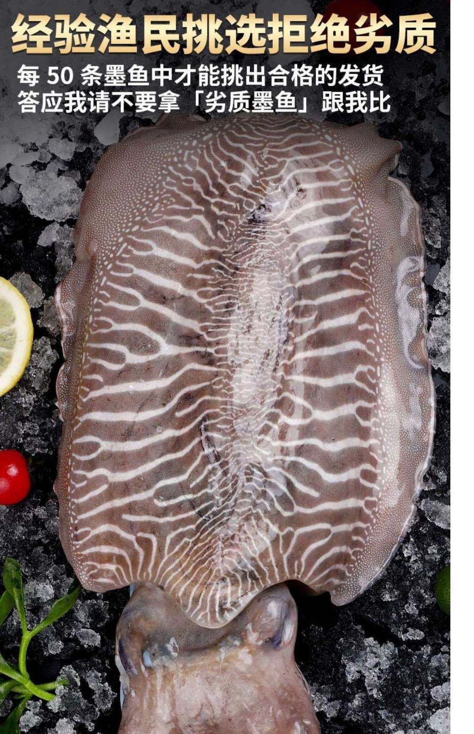 墨鱼鲜活大墨鱼超大新鲜青岛海鲜水产特级目鱼乌贼爆头八爪鱼渝珍