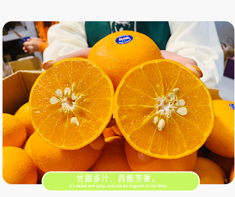 4f6455496d5a930d.jpg