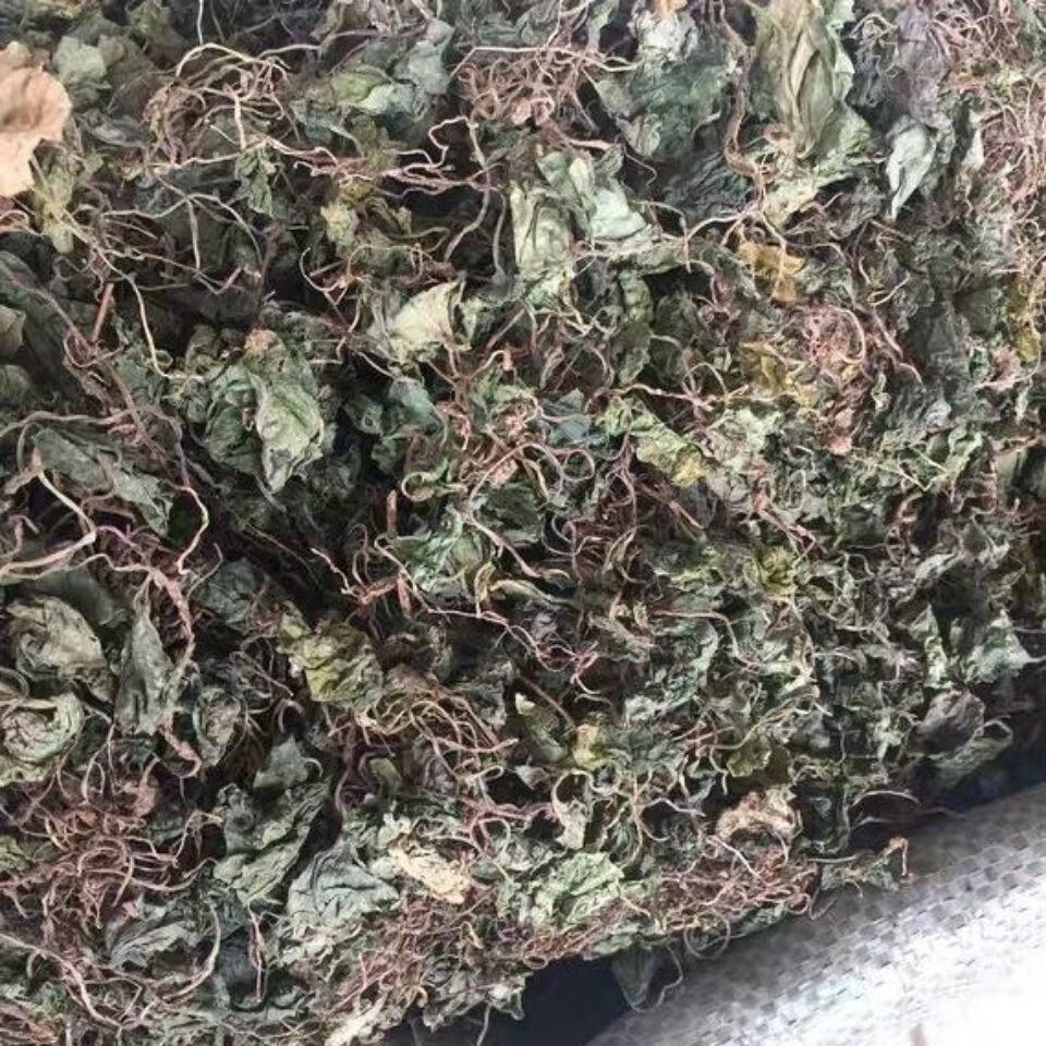 青天葵草 独叶莲 半边伞 青天葵 中药材初级农产品100-250克 100克