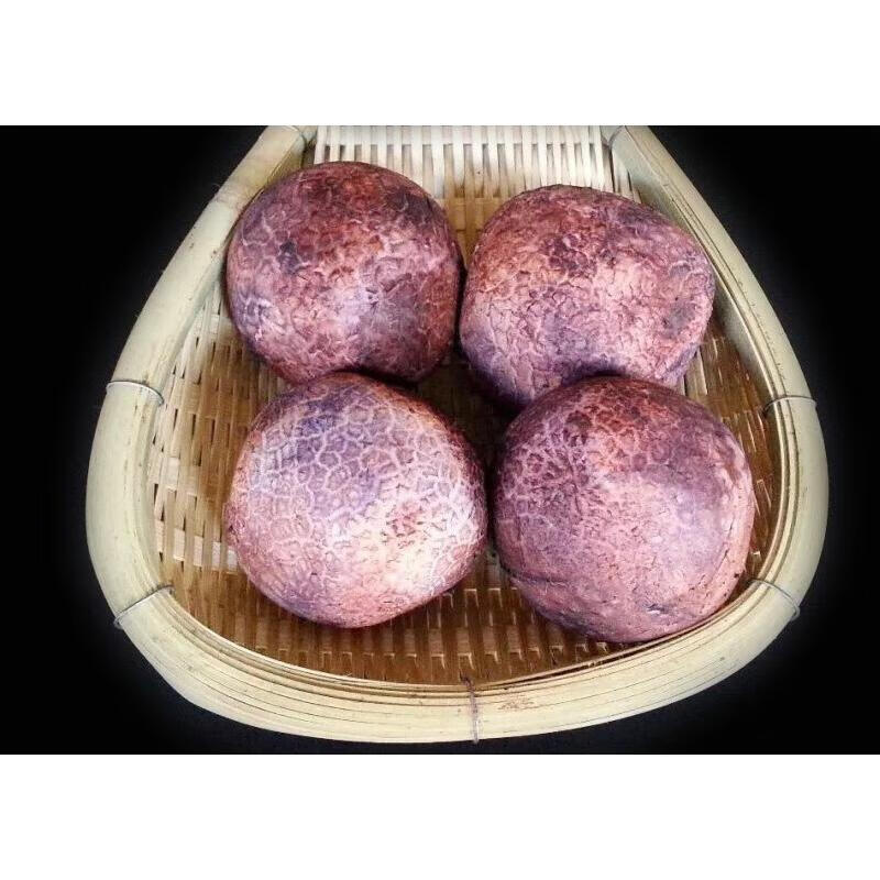 贵州特产赤水竹荪蛋竹胎儿干货竹海竹荪胚胎竹笙蛋500g