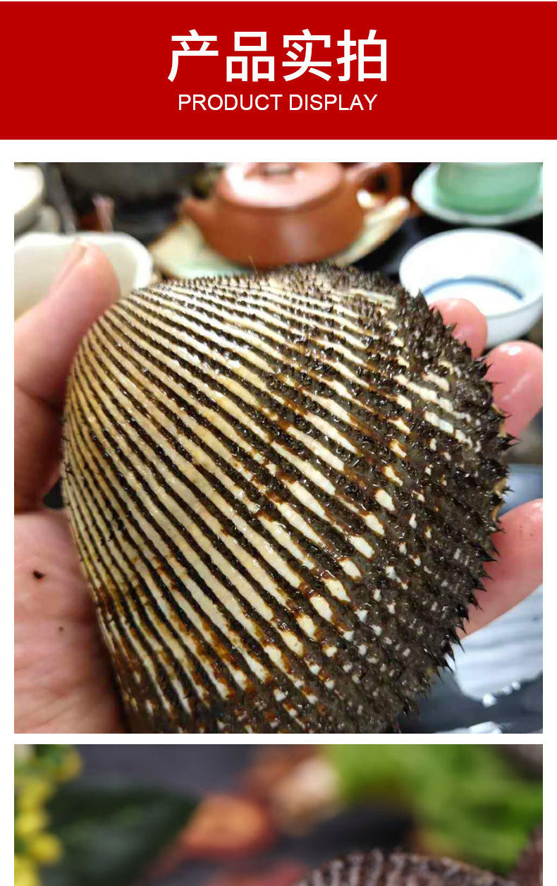 鲜活大毛蛤大毛蚬毛钳贝类赤贝血蛤银钳雪蛤海鲜水产新鲜 腾旺纳跃 买