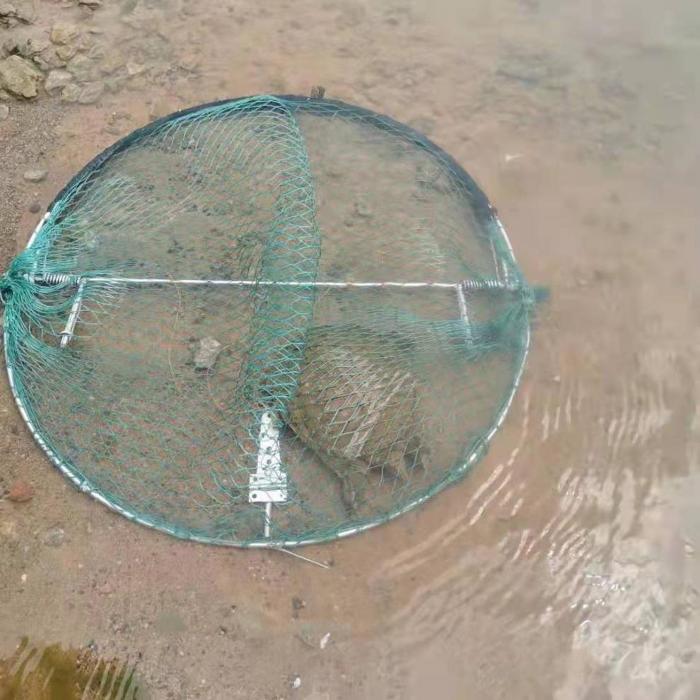 地茏网抖音同款抓鸡扒网虾笼打笼抓螃蟹自动拍网工具天落笼黄鳝拍笼