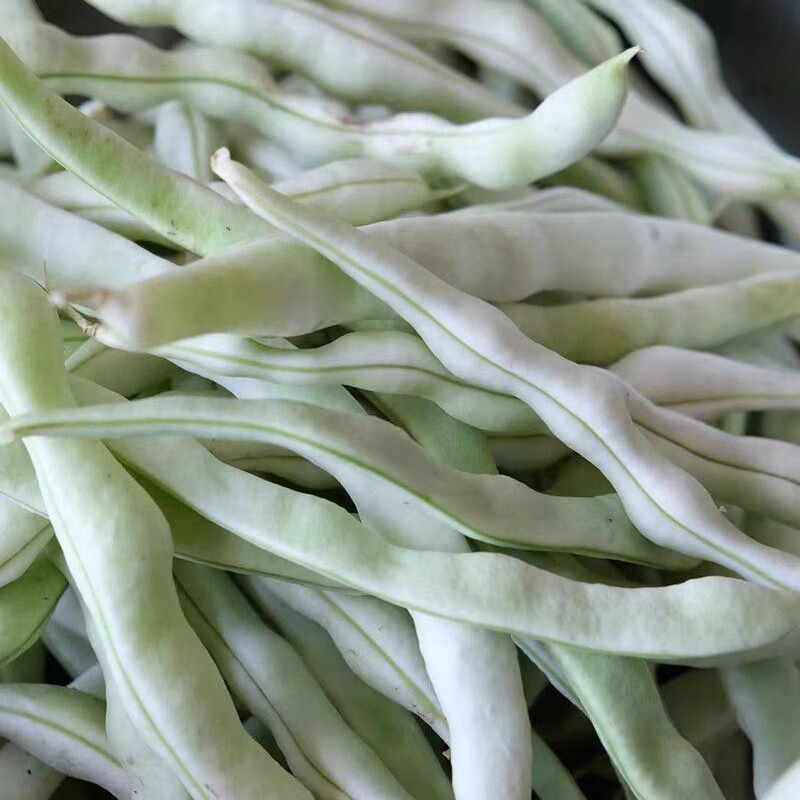 东北白豆角顺丰发货白不老豆角新鲜芸豆四季豆白架豆蔬菜5斤