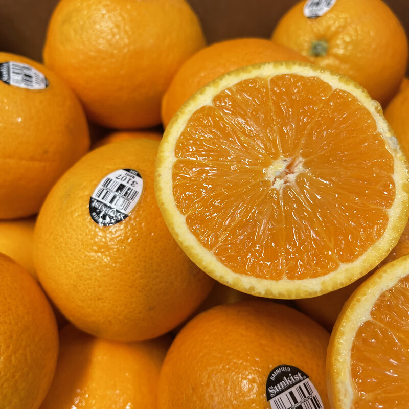 味蕾乐 新货澳洲进口新奇士黑标3107橙子10只装脐橙味甜多汁农产品