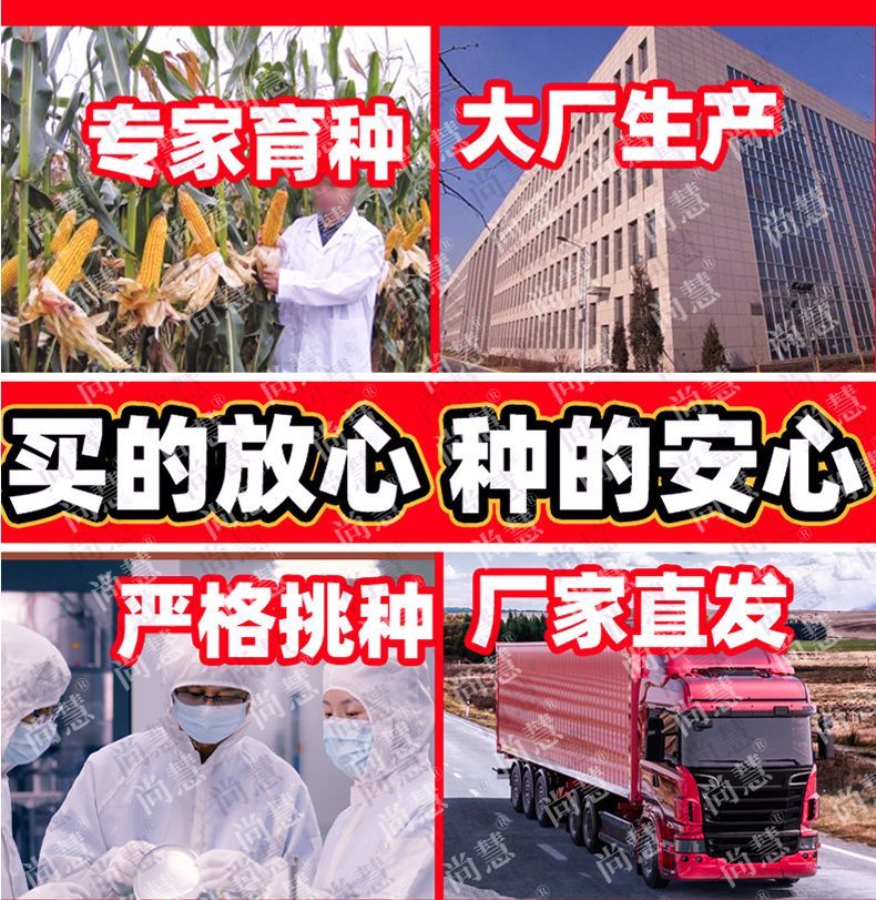 b9624d127b7ce4c0.jpg