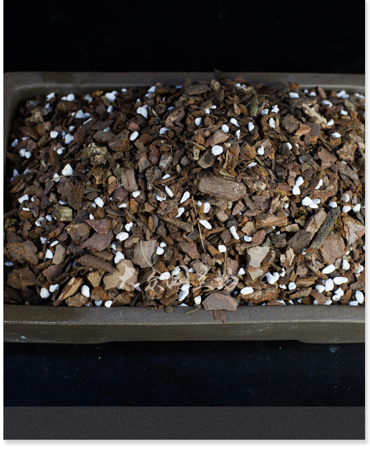 松树皮 植料16升装兰花土专用透气营养土种铁皮石斛蝴蝶兰君子兰松树