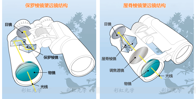 透视镜透视人体眼镜圣途森林人8x308x407x5010x50保罗标准版高倍高清