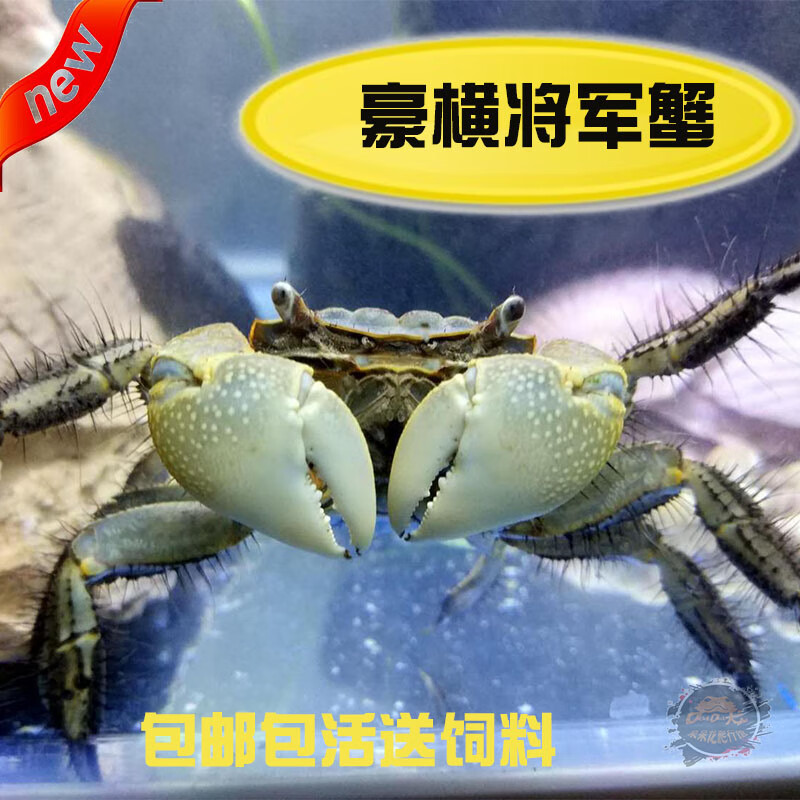 6b523c89812afef5.jpg