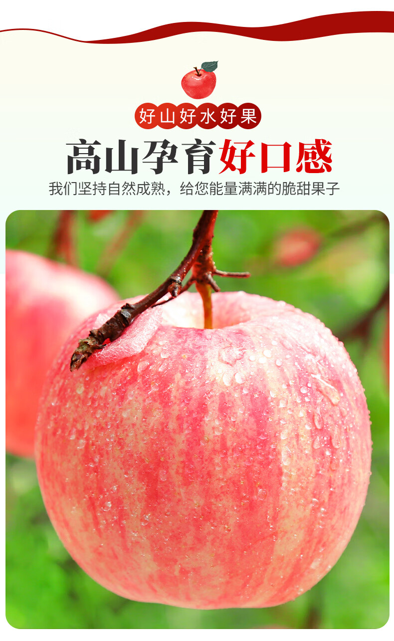 e90658a6933ee130.jpg