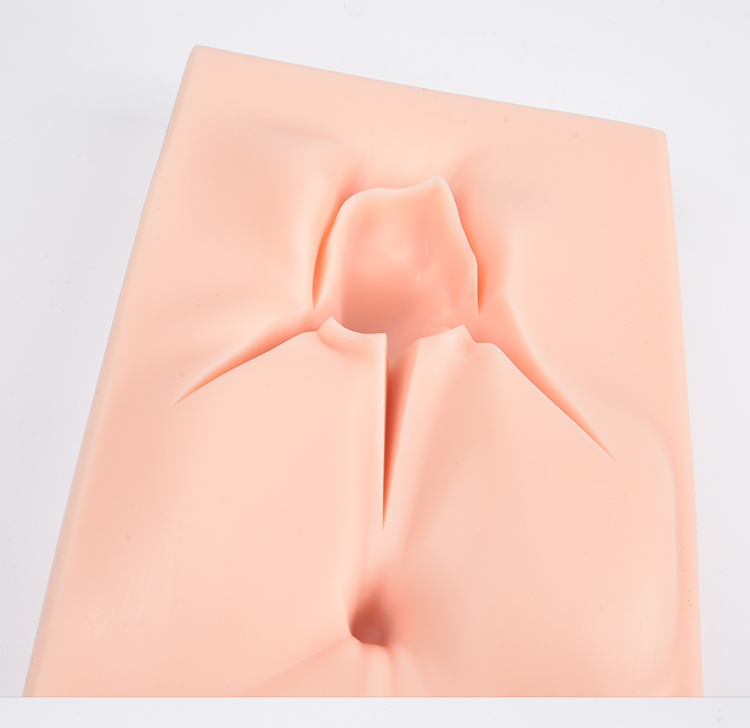 会阴侧切缝合模型 外阴撕裂缝合练习模型 女性生殖计生会阴模型 生