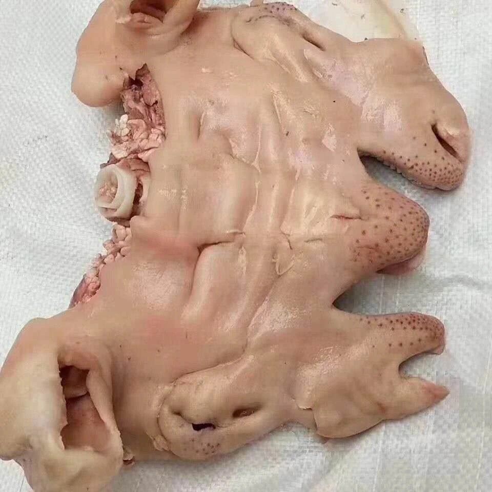 清真新鲜去骨羊头肉散养山羊羊脸肉半熟无骨原味整只羊头肉羊杂熟鲜露