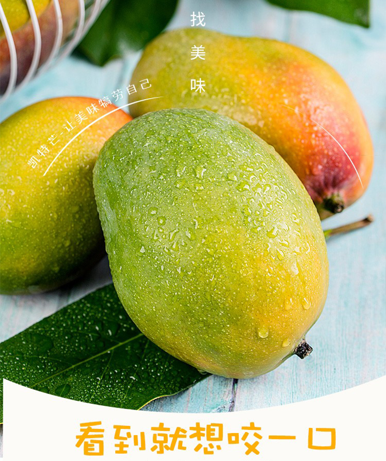 攀枝花凯特芒果当季水果现摘新鲜凯特芒大果整箱礼盒装中秋国庆节日