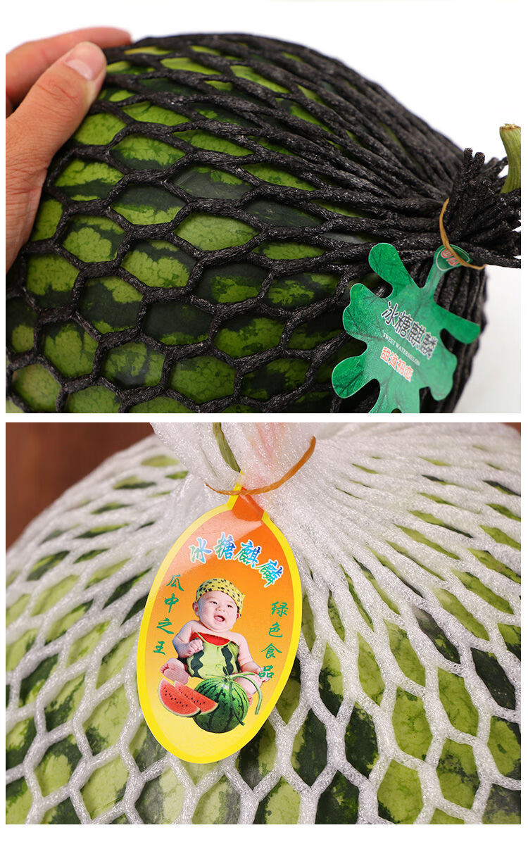 水果网套加厚西瓜网套通用 蓝色【一卷20米左右】【图片 价格 品牌