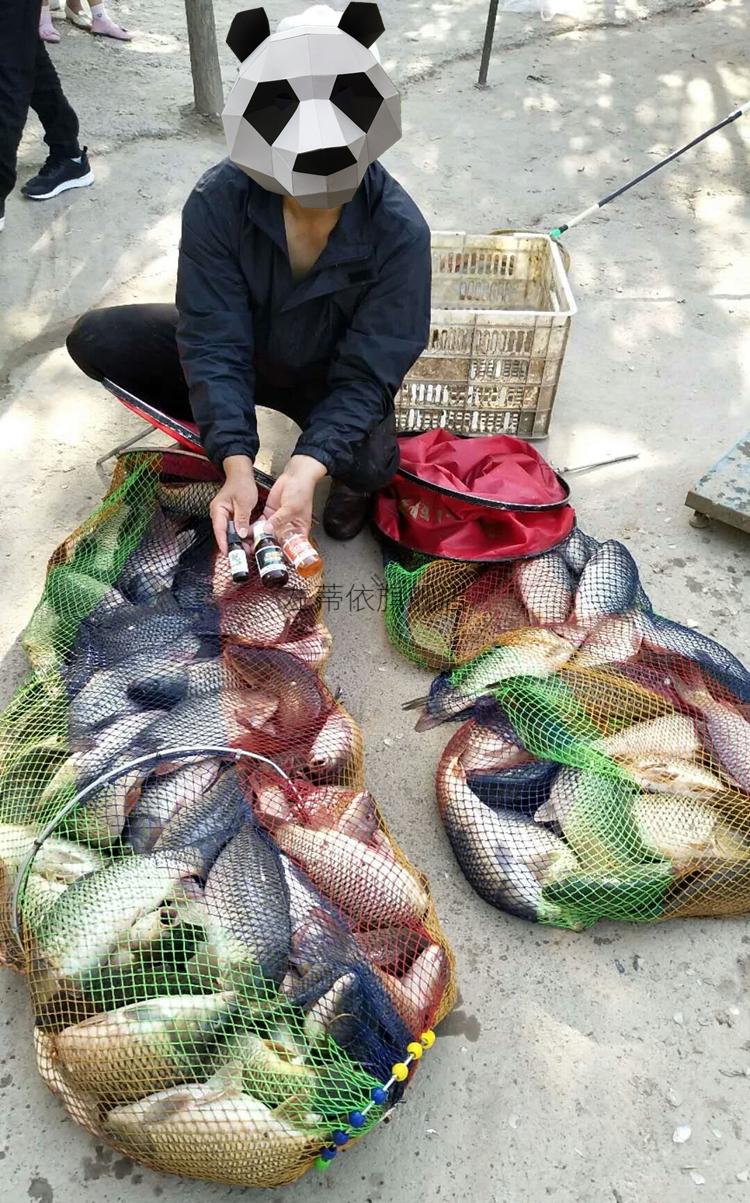 神聚小药山西神聚小药尚鱼顿感果怡浓小药独耀野钓黑坑鲫鲤鱼专用小药
