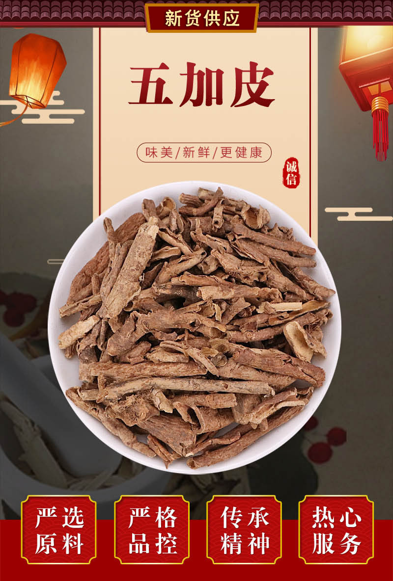 北京同仁堂中药材五加皮500g克 新货南五加皮 刺五加 五加皮粉 五加皮