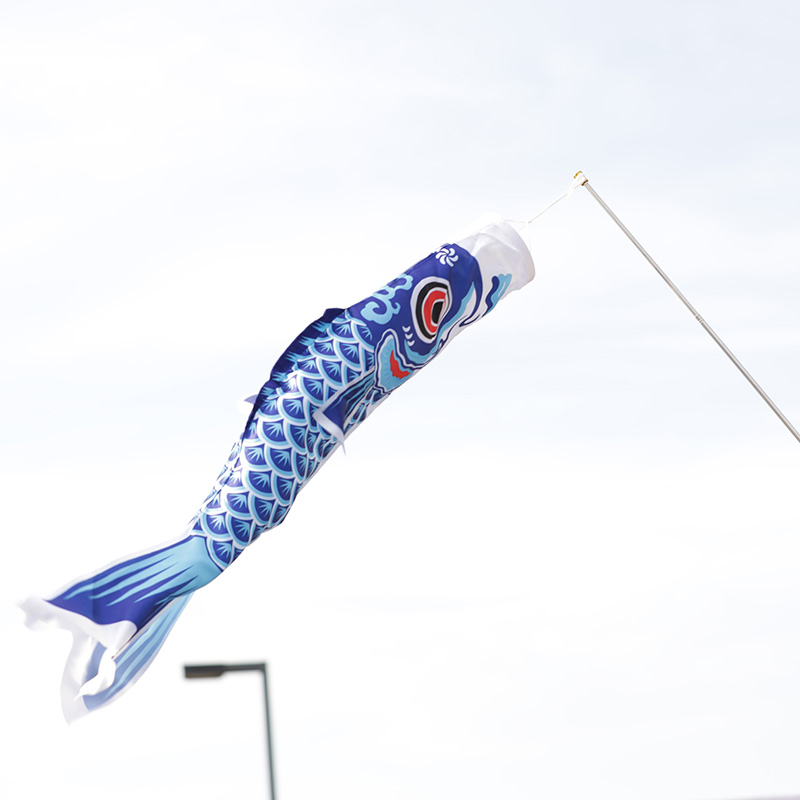 日本鲤鱼旗 100厘米 鲤鱼旗 端午节饰品 日本和风导游旗 鲤鱼幡 料理