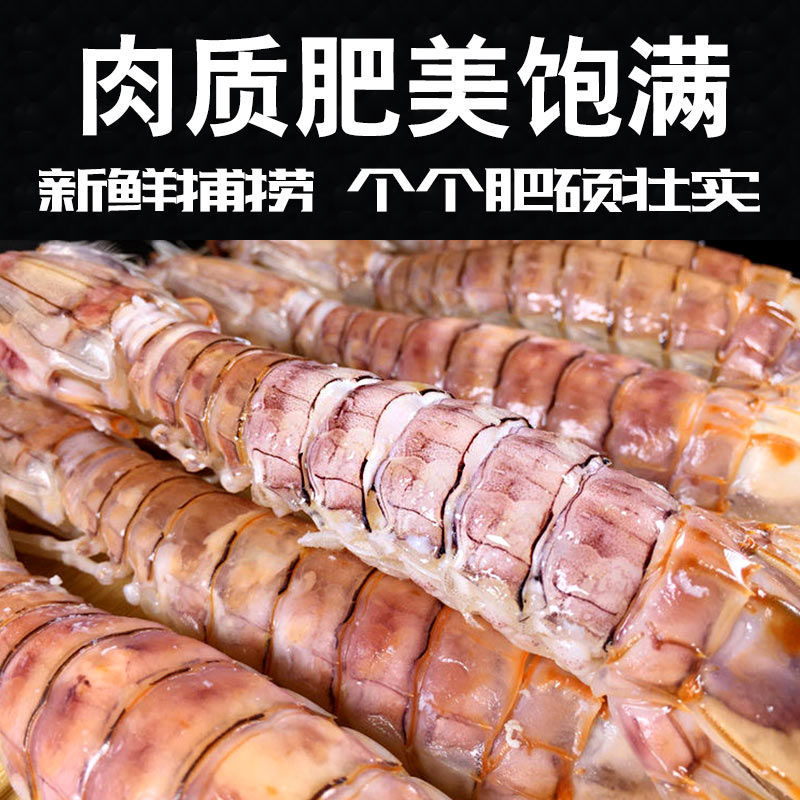 皮皮蝦鮮活超大特大蝦姑蝦爬子即食瀨尿蝦椒鹽海鮮水產6斤順豐3000g