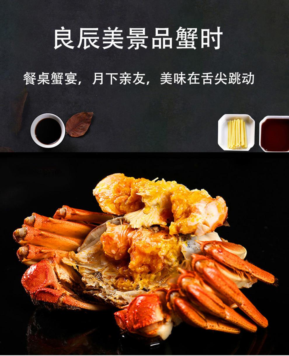 活鲜鲜活六月黄大闸蟹现货冷链3609两苏州产地直发活蟹莫尔加德六月黄