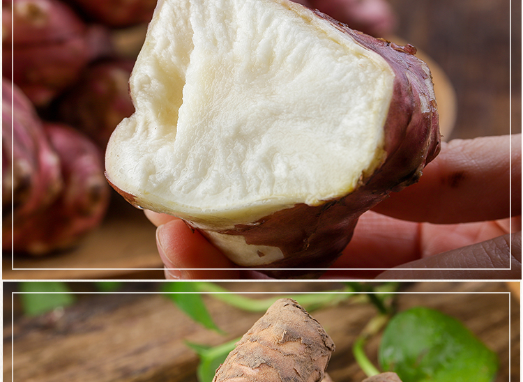 红洋姜新鲜鬼子姜不辣农家蔬菜酱腌菜泡菜种姜菊芋现挖生洋姜 2500g