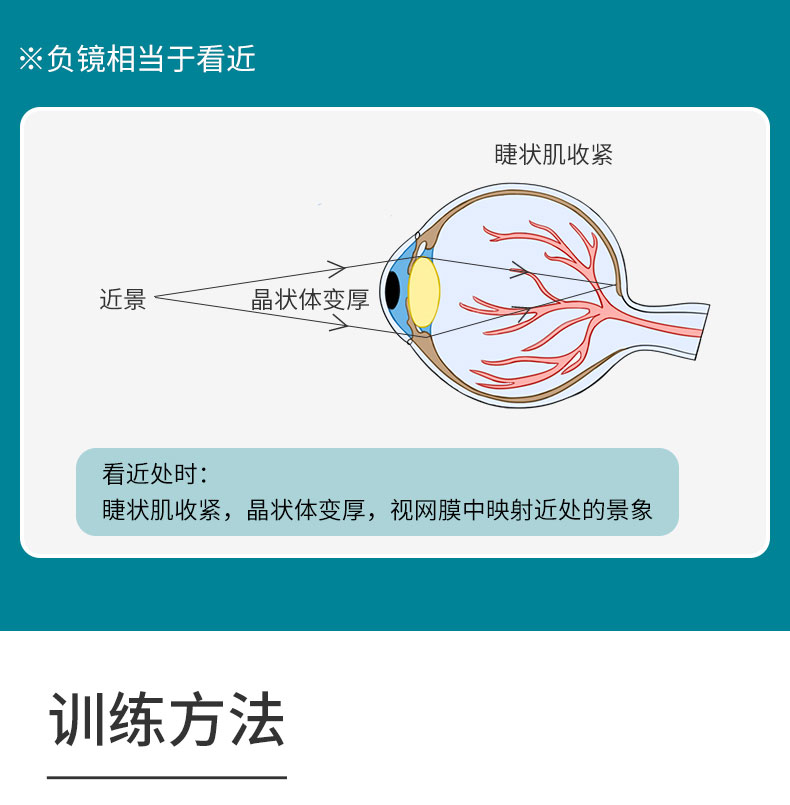 反转拍视力训练卡儿童眼睛弱视调节仪自动器翻转拍蝴蝶镜 眼科【±2.