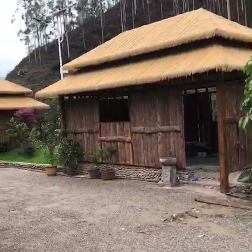 仿真草皮阻燃仿真茅草瓦地毯式茅草坪假稻草木屋凉亭酒店装饰草防火