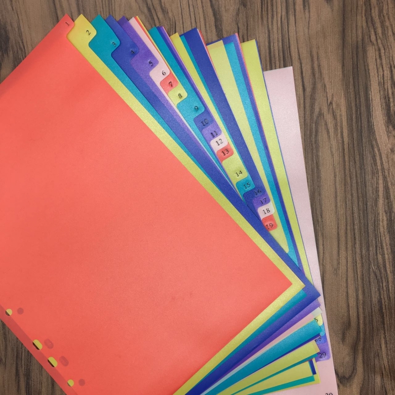 亚信塑料分类纸彩色a4隔页纸11孔活页纸pp分类卡纸31页档案索引纸标签