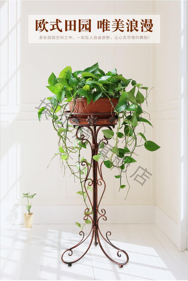 埃尔岚绿萝花架子欧式铁艺单个花架客厅阳台落地式室内外折叠组装吊兰