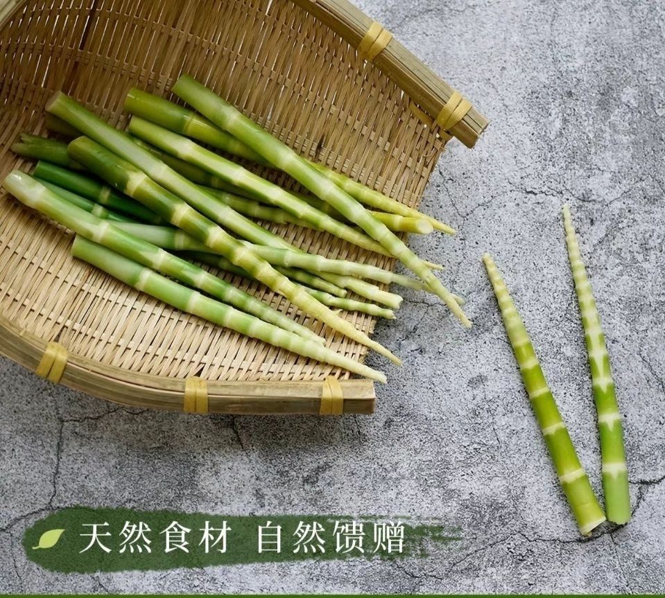 橙伯乐绿笋高山翡翠笋大自然的馈赠嫩脆爽口火锅中餐家庭特色菜批发