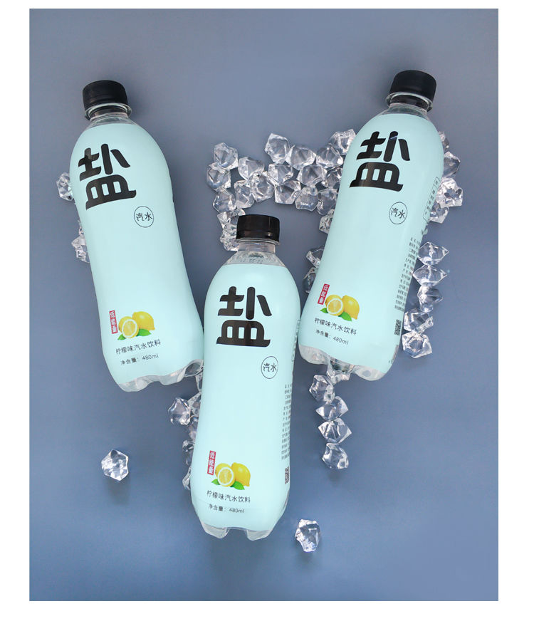 盐汽水 柠檬味碳酸饮料气泡水上海风味夏季汽水 多规格可选 盐汽水480