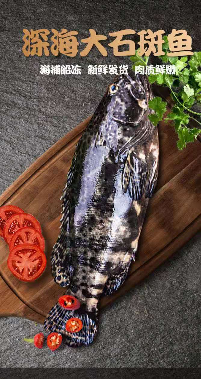 顺丰速运 石斑鱼龙胆石斑鱼海鲜水产龙趸鱼 浩凤 商家帮去好内脏