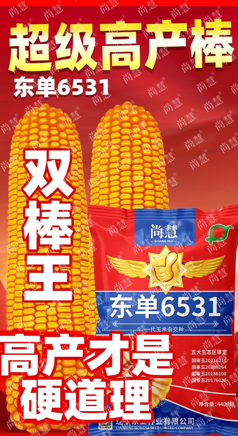 d9f2f56e9848e51e.jpg