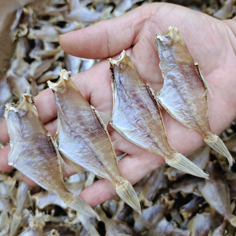 汕尾特产大号迪仔鱼敌仔无头扒皮鱼干剥皮鱼微咸水产干货500g【图片