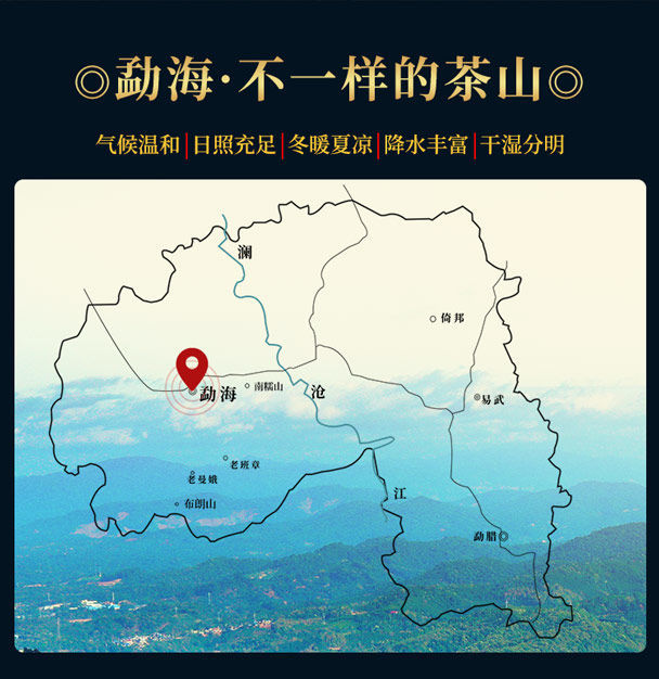 1000g易武生砖茶曼松王子山普洱生茶普洱大树春茶砖红色