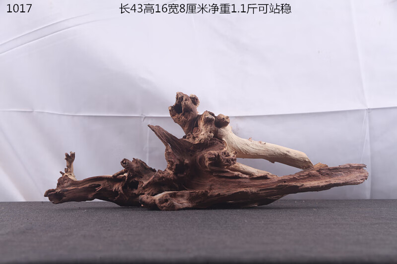 e247113abdd1eb36.jpg
