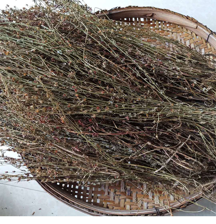 好物】野生中药材广西田基黄地耳草黄花草雀舌草500克干品整株田基王