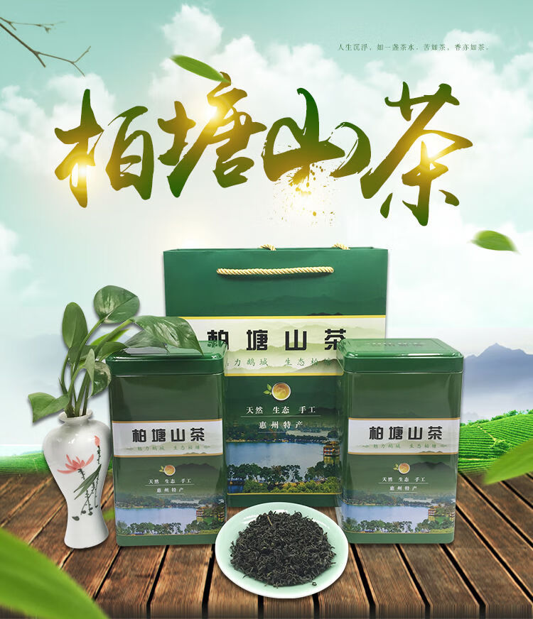 柏塘山茶250g广东惠州博罗特产高香手工客家绿茶罗浮山众幸福茶叶清香