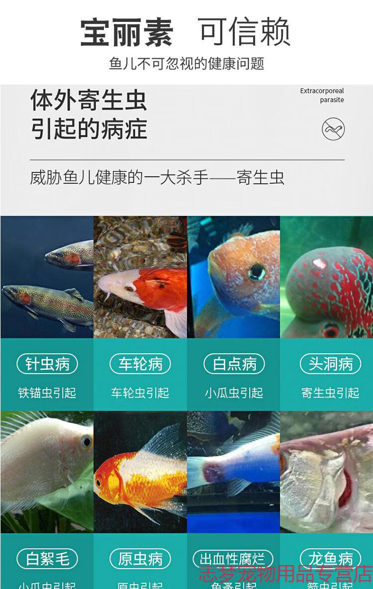 龙鱼金鱼杀寄生虫专用药外寄大白片鱼缸杀虫鱼药蛋白虫白线虫杀虫3